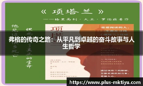 mk体育