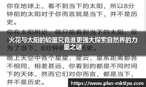 mk体育入口